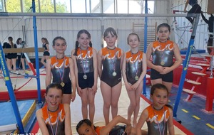COMPETITION 8 AVRIL à  Proximité FED B à CONTRE présent 8 GYMNASTES 8 Médailles CHARLIE BLIN ELINA CHICANE LEA MARCILLE LOLA CHAPIN LIANA VILARDIS OR   LOUISE CHARLET BRONZE ET PLUS HAUTE DISTINCTION CAMILLE GUIGNAULT et DELIA RUBY PLATINE
